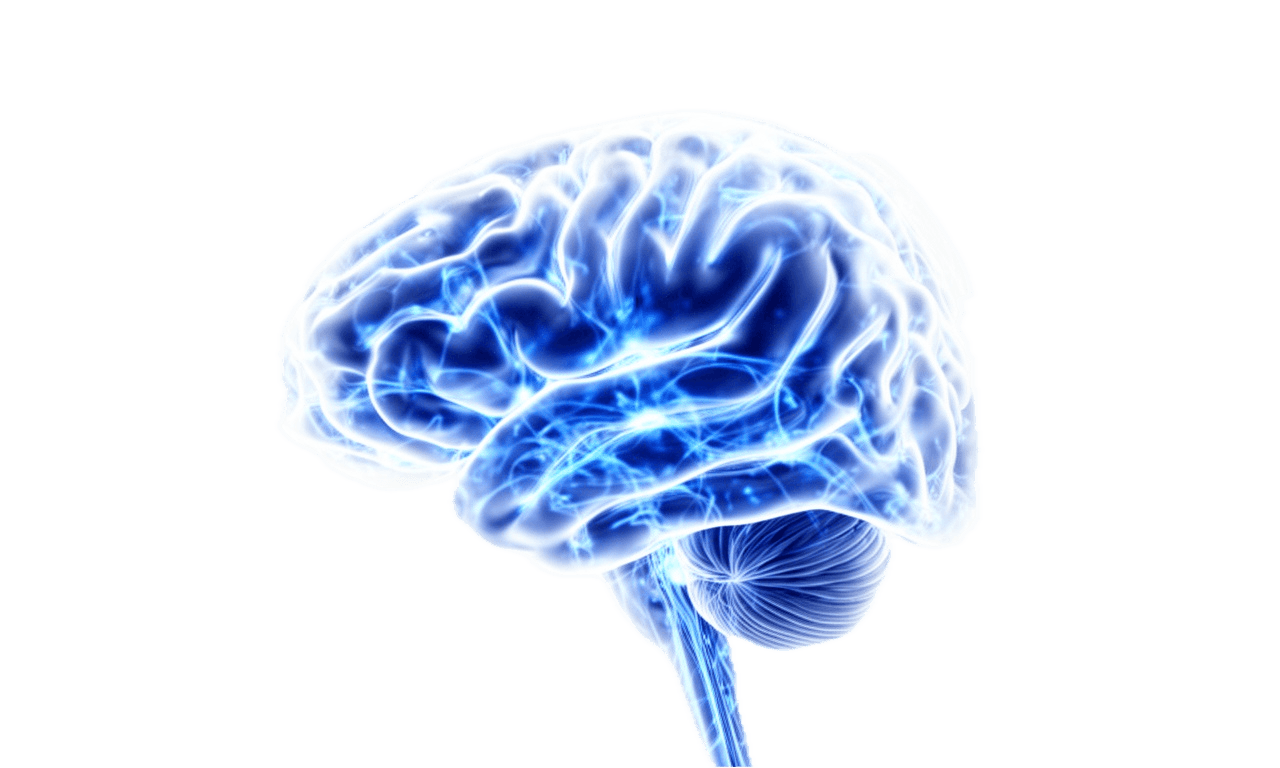 MCAT brain visualization